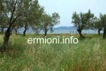 GL 0198 - Coastal Land - Dardiza - Ermioni